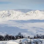 Spacious And Beautiful In Geilo, Mountain Retreat With View! Apartment Geilo