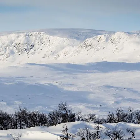 Spacious And Beautiful In Geilo, Mountain Retreat With View! 公寓 耶卢